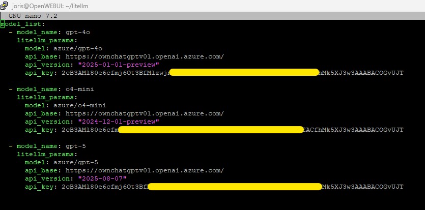 LiteLLM-API